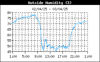 grafico umidità